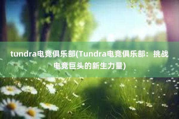 tundra电竞俱乐部(Tundra电竞俱乐部：挑战电竞巨头的新生力量)