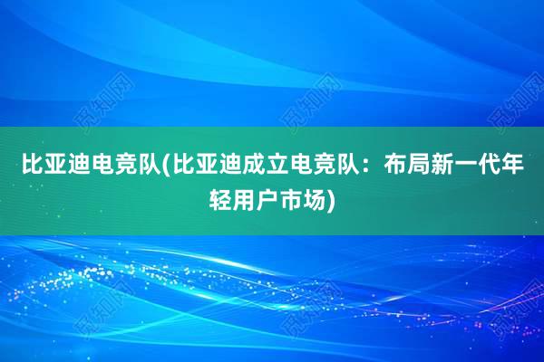 比亚迪电竞队(比亚迪成立电竞队：布局新一代年轻用户市场)