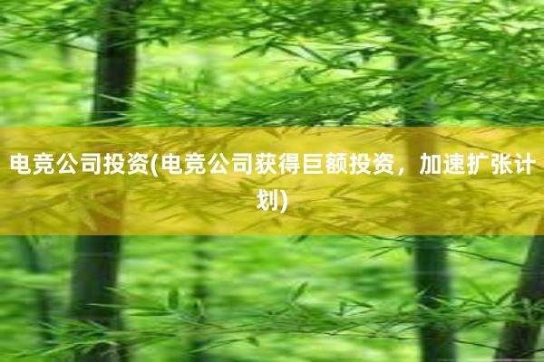 电竞公司投资(电竞公司获得巨额投资，加速扩张计划)