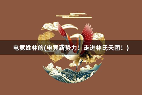 电竞姓林的(电竞新势力！走进林氏天团！)