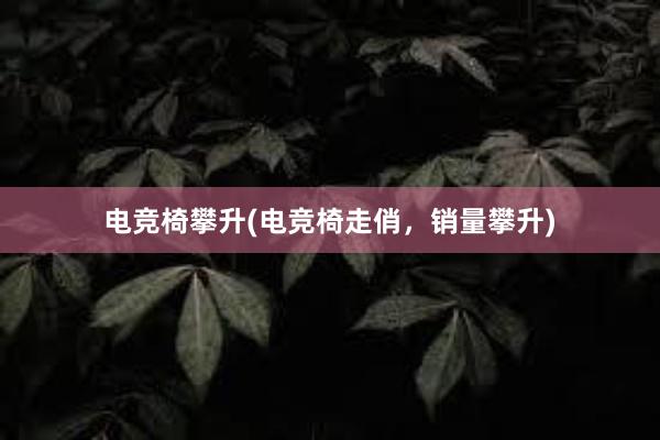 电竞椅攀升(电竞椅走俏，销量攀升)