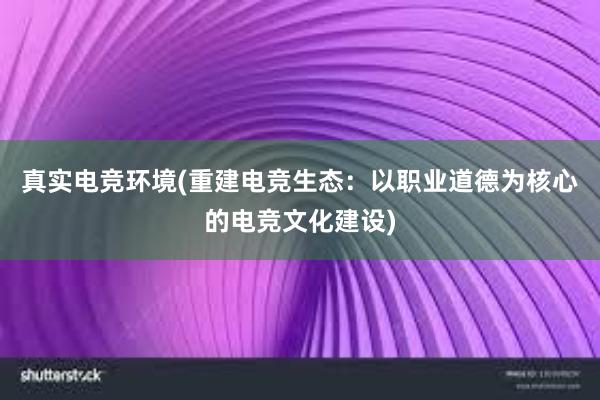 真实电竞环境(重建电竞生态：以职业道德为核心的电竞文化建设)