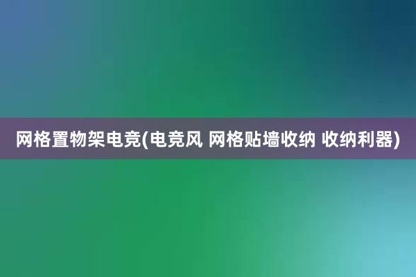 网格置物架电竞(电竞风 网格贴墙收纳 收纳利器)