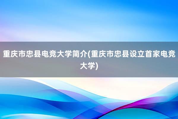 重庆市忠县电竞大学简介(重庆市忠县设立首家电竞大学)