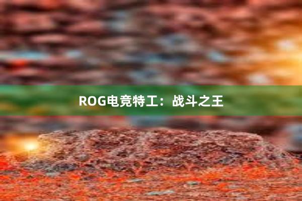 ROG电竞特工：战斗之王