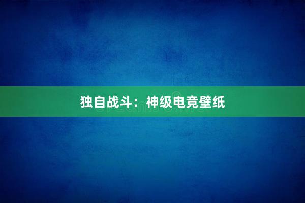 独自战斗：神级电竞壁纸