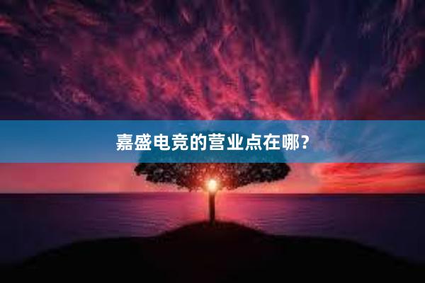 嘉盛电竞的营业点在哪？