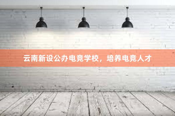 云南新设公办电竞学校，培养电竞人才