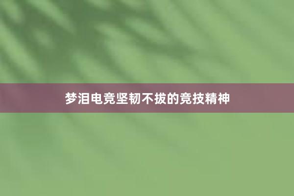 梦泪电竞坚韧不拔的竞技精神