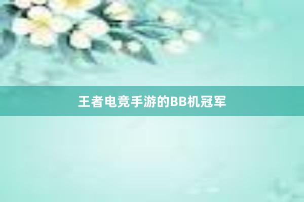 王者电竞手游的BB机冠军