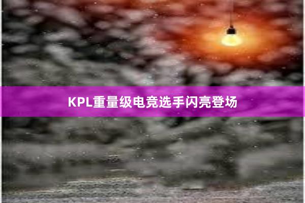 KPL重量级电竞选手闪亮登场