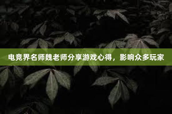 电竞界名师魏老师分享游戏心得，影响众多玩家