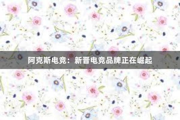 阿克斯电竞：新晋电竞品牌正在崛起