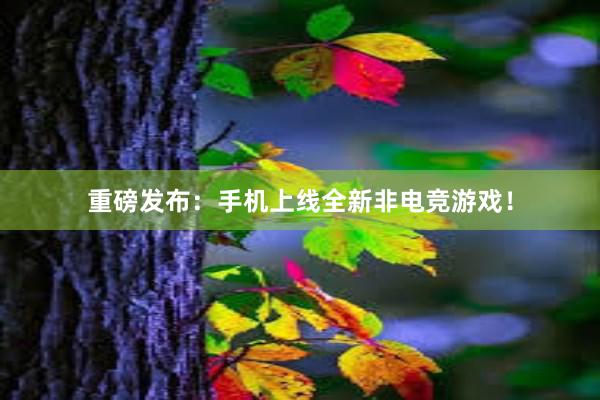 重磅发布：手机上线全新非电竞游戏！